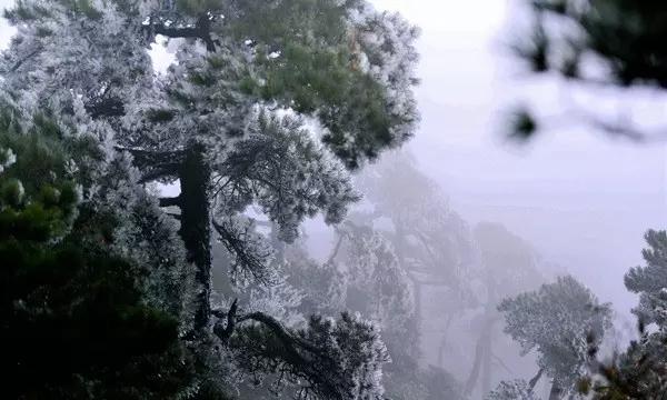 深度了解有什么好的祛痘方法吗?,加入知识星球平台!