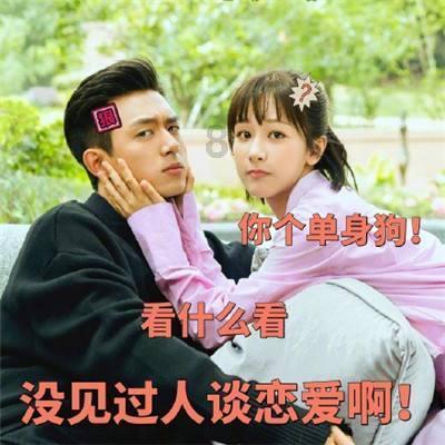 动物帮帮忙保卫家园